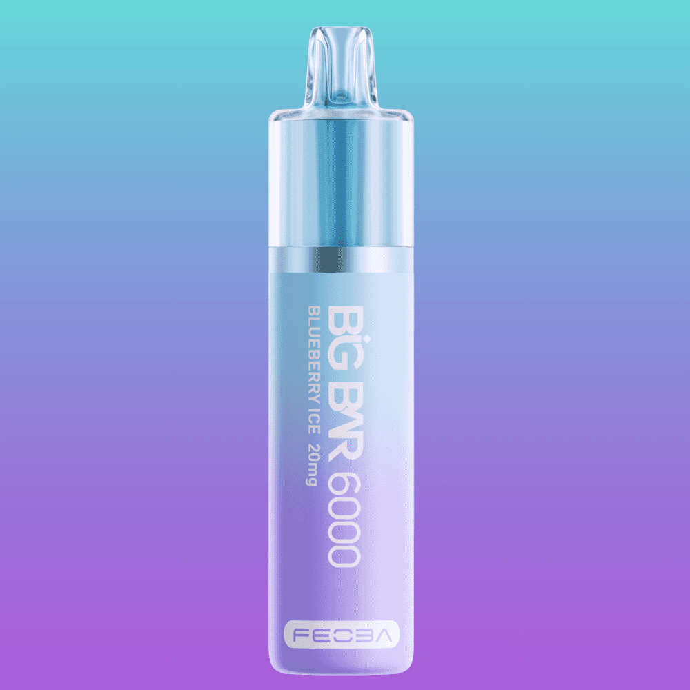 Big Bar 6000 - Blueberry Ice | 5 Packs