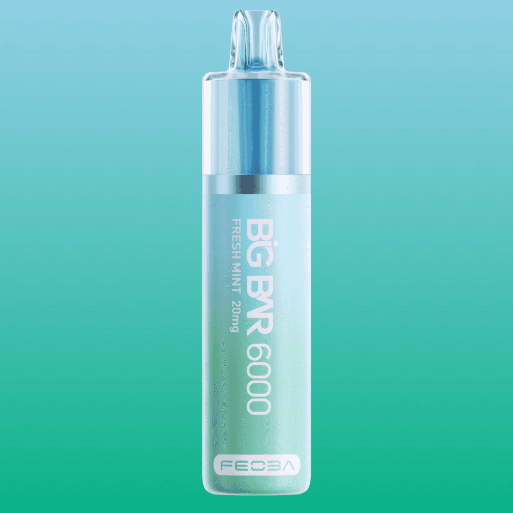 Big Bar 6000 - Fresh Mint | 5 Packs