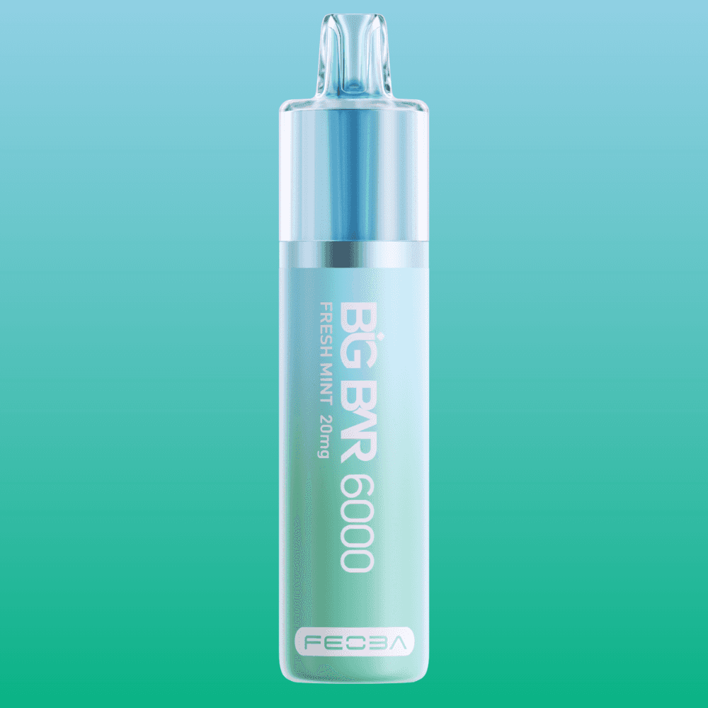 Big Bar 6000 - Fresh Mint | 5 Packs