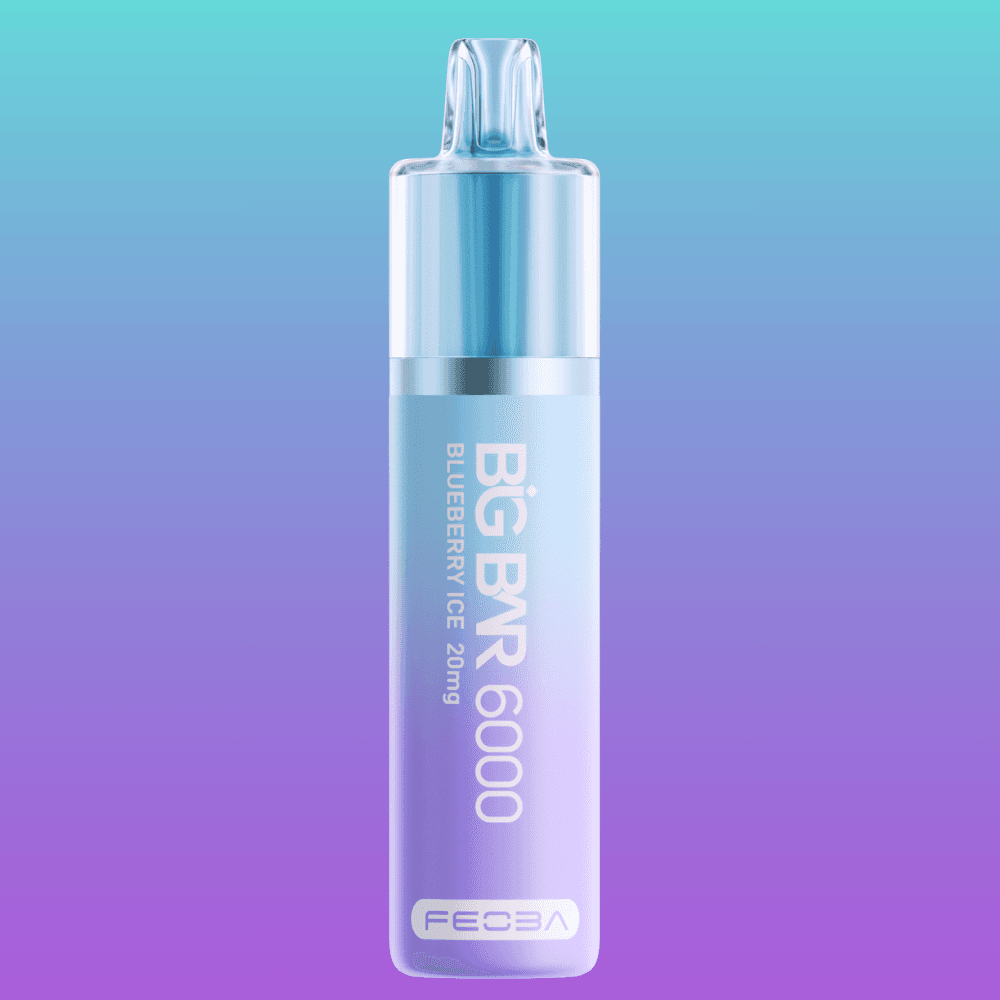 Big Bar 6000 - Blueberry Ice | 5 Packs