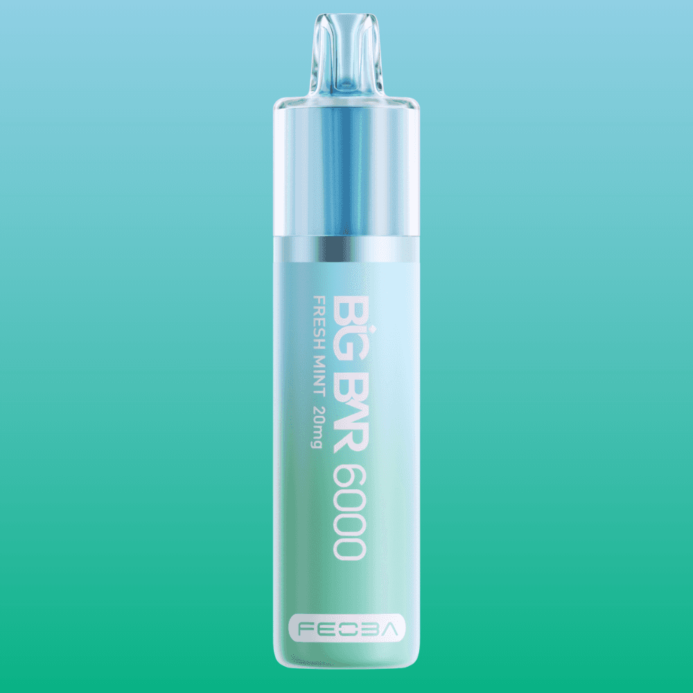 Big Bar 6000 - Fresh Mint | 5 Packs