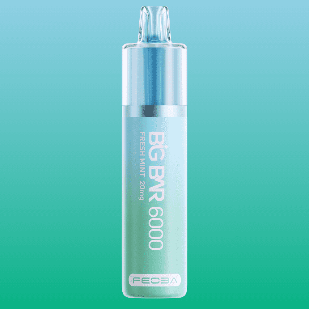 Big Bar 6000 - Fresh Mint